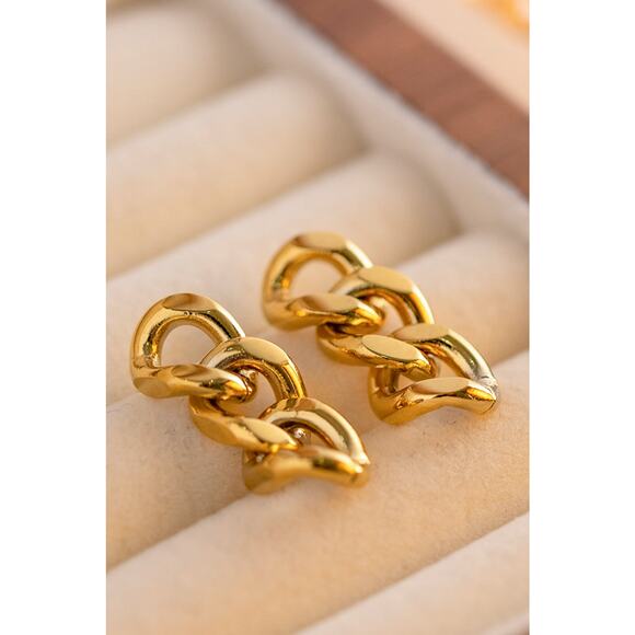 Stainless Steel Chain Earrings - Picture 4 of 5